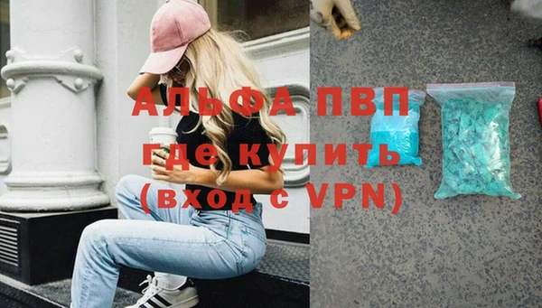 хмурый Белокуриха