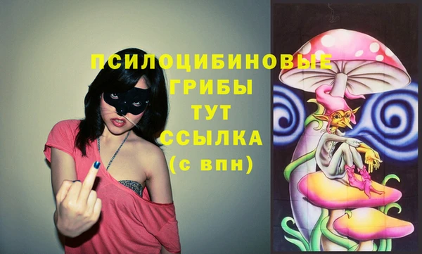 герыч Россошь
