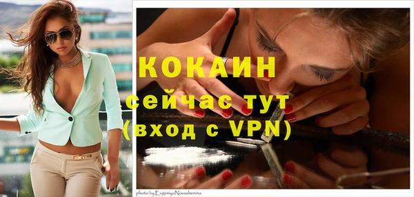 хмурый Белокуриха
