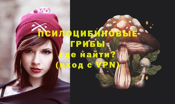 первитин Рославль