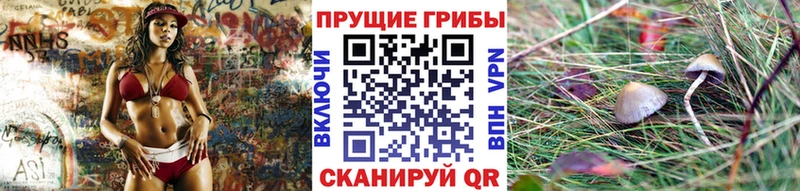 даркнет сайт  KRAKEN tor  Галлюциногенные грибы Psilocybine cubensis  Нижнеудинск 