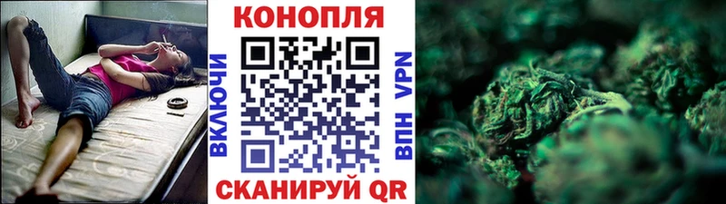 наркота  Нижнеудинск  мега ССЫЛКА  Канабис сатива 